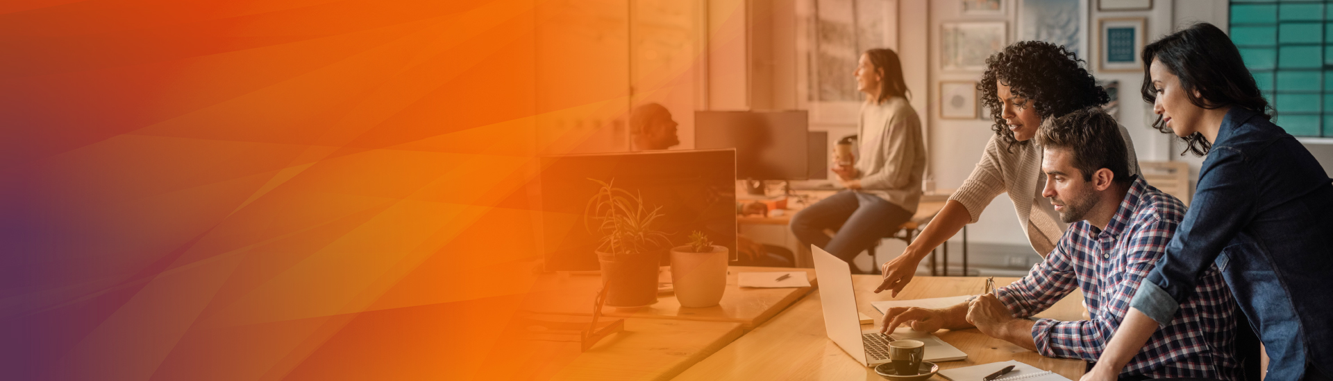 anderson-frank-experts-in-netsuite-recruitment