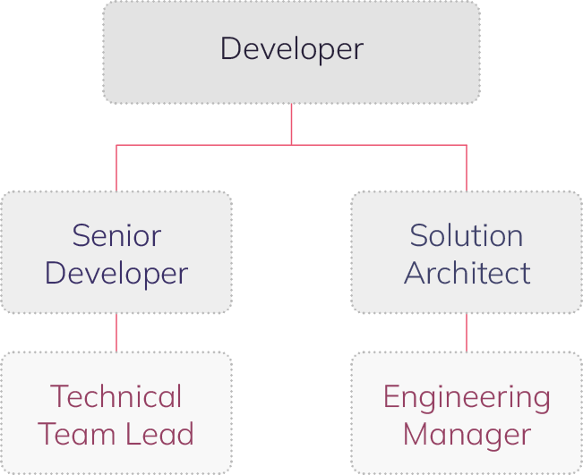 NetSuite Developer Career Spotlight Anderson Frank Careers and Hiring